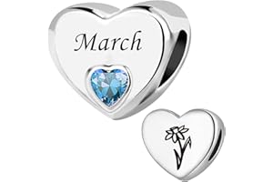 ZakiaHo Birthstone Charms for Bracelets Heart Birth Month Flower Birthday Gifts for Women Compatible with Pandora Charms Bracelets