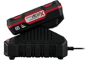 Parkside Batería recargable de 20 V 2 Ah PAP 20 B1 + cargador PLG 20 C1 para todas las herramientas de la serie Parkside X 20V Team
