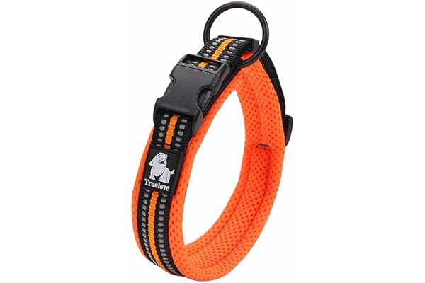 TRUE LOVE Collier de Chien Réfléchissant Réglable Nylon Solide Confort rembourré Colliers Pet Classic TLC5011(Orange,XS)