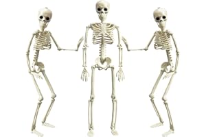 SIFOEL Posable Halloween Skeleton, Full Body Halloween Skeleton with Movable Joints, 16" Hanging Spooky Skeletons for Halloween Haunted House Party Home Props Decorations (3pcs)