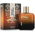 Wild Stone Cigar Eau De Parfum for Men, 100ml|Spicy and Woody Long Lasting Perfume for Men| Dailywear Fragrance|Premium EDP