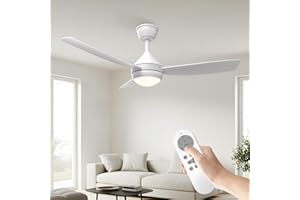 ORTHLAND 106 cm Ceiling Fan with Lighting and Remote Control with Timer, Easy Assembly, Quiet DC Motor, 6 Speed Levels, Modern Design for Bedroom, Living Room (White)