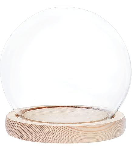 PH PandaHall Cupola In Vetro con Base Cloche Campana Campana