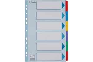 ‎LEITZ Leitz Esselte Register für A4, Deckblatt und 6 Trennblätter mit Taben, Blau/Mehrfarbig, Recyclingkarton, 100168