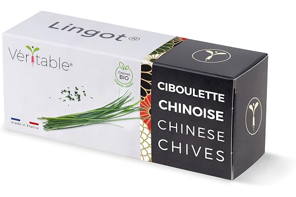 Lingot® Ciboulette Chinoise BIO - Compatible Potager d'Intérieur Véritable® et Exky® - Recharge prête à l'emploi - Substrat avec Graines Intégrées…