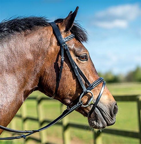 Leather Padded Bridle With FREE Rubber Reins All Sizes Black or Brown (BLACK, PONY)