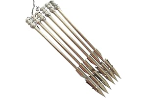 JIEXI HWYP 6.3" Stainless Steel Bow Fishing Arrow Heads Slingshot Arrow Shaft Pack of 6