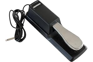 AOMOMO Sustain Pedal Univerdal for Keyboard with Polarity Switch for All Digital Pianos, Electronic Keyboards Midi Electronic keyboards Style Piano Foot Pedal (Original Version)