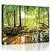 Produktbild Welt-der-TräumeWANDBILD CANVASBILD Wandbild Leinwandbild Kunstdruck Canvas | Sonniger Wald | O1 (100cm. x 75cm.) | Canvas Picture Print PP10513O1-MS | Natur Landschaft Wald Bäume Fluss Bach Sonne