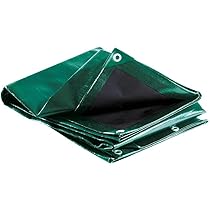 Bâche Imperméable Ultra Résistante Avec œillets Renforcés Pour L'extérieur (0,35 Mm / 500 G/m²) - Bâche Transparente De Qualité Supérieure - 6 M X 3,3 M - Idéale Pour Le Camping, Le Jardinage Et La