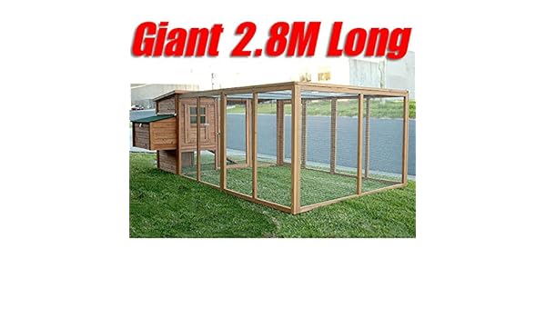 Poulailler Lady Avec Enclos Animojardin Amazonfr Animalerie