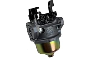 SAKAWA Carburador Completo Motores OHV tipo Honda y Genéricos G100
