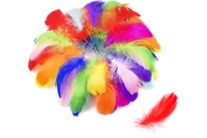 volumoon 100Pcs Piume Colorate, Piume Decorative, Piume D'Oca, Piume Artigianali, Piume Naturali per Acchiappasogni Fai da Te, Cappelli, Orecchini, Carnevale, Costumi, Copricapo, Natale, Pasquale