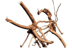 WabiFlur - Legno Redwood Naturale per Acquario Nano Garden e Terrari - Ricrea Un Ambinete Selvativo e Unico, Taglia Medium Pezzo Singolo 15-20 cm