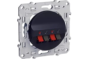 Schneider Electric - Odace, prise haut-parleurs Anthracite, 2 sorties - S540488