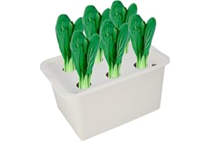 ‎ZERODIS Zerodis Hydroponik Anzuchttopf Pflanztopf Blumentopf Soilless Gemüseanbau Gemüse Pflanzen Pflanzenwachstum 6 Löcher für Indoor Outdoor(Grau)