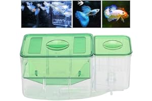 CIKONIELF Fischzuchtbox Kunststoff Doppelschicht Fisch Isolation Box Brutstätte Laichbox für Aquarium Tank Home Fry Farming Fischschutz