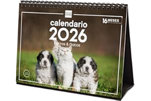 Finocam - Calendario de sobremesa 2026 Mes Vista Enero - Diciembre 2026 + Sep.- Dic. 2025 (4 meses) reducidos | Calendario 2026 | Imágenes Perros y gatos - Español