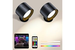 CUBTEM 2PCS LED Wall Light, Rechargeable LED Wall Lamps Indoor 12 RGB Lights, Wall Sconces 360° Rotatable Touch Control with Remote Control, Reading Lights for Bedroom Night Lights for Living Bedroom