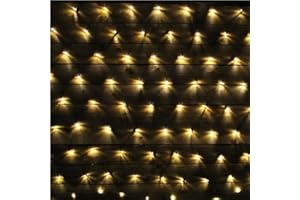 LightsGo Net Fairy Lights Outdoor Indoor LED Fairy Lights 320LEDs 3m*2m Warm White 8/16H Timer, 8 Modes