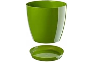 B2C Plant Pot Flower 20 Colours 9 sizes Gloss Plastic Plant Pots Planter Saucer Tray Deco (28 cm/ 11 inch, Green)