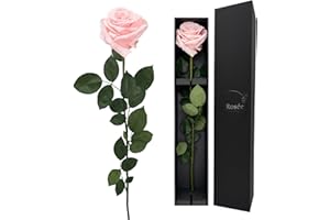 LA ROSEE ETERNELLE Rosa Eterna Perfumada con Tallo Largo – Rosa Preservada Natural – Flor Eterna de Ecuador – Regalo Original para Mujer, Novia o Madre – Color Baby Pink