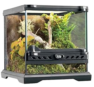 exo terra terrarium amazon