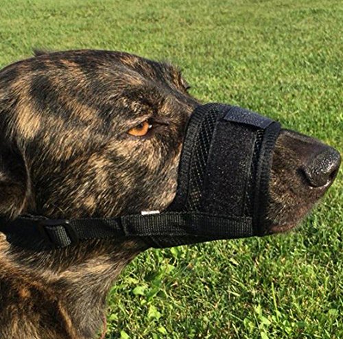 Doggie-Style-Store-Black-Soft-Mesh-Dog-Pet-Muzzle-Nylon-Bark-Mouth-Anti-Bite-Adjustable-Comfortable-Snout-Mask