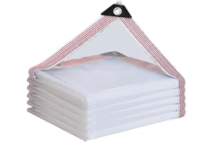 HESIOL Plandeka wodoszczelna, przezroczysta z oczkami, wodoszczelna, przezroczysta, na meble ogrodowe, przezroczysta plandeka do użytku na zewnątrz, rośliny, do szklarni, dach dla zwierząt domowych, 2 x 6 m