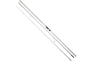 DAIWA Crosscast-X Surf, 3 Pièces, Canne à Pêche Surfcasting