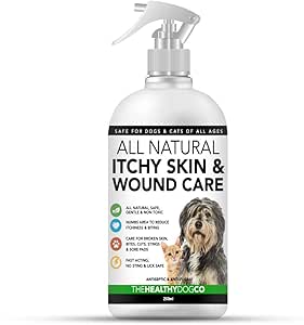 vca highlands animal hospital