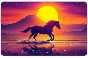 Peacoblue Bank Card Sticker Horse in Shallow with Sunset Credit Debit Card Custom Skin Cover Protector, 4 Styles Scratch-Proof and Attractive Decal for Most Popular EBT Transportation Key Card