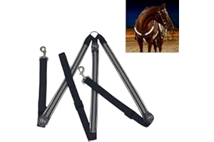 Dowoa LED Pferdegeschirr,Pferdegeschirr Pferde Brustgurt Robuste und Komfortable Sicherheitsausrüstung Beste Sichtbarkeit beim Reiten für sichtbares Pferd (White)