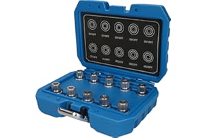 BRILLIANT TOOLS BT691290 Rim Lock Assortment | for BMW | 10 Pieces [Powered by KS Tools]