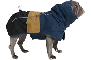 Spark Paws Hunderegenmantel, wasserdichte, Winddichte Regenjacke, für kleine, mittelgroße, große und extra große Hunde, reflektierender Trockenanzug mit Ganzkörperabdeckung, Blau, Gold, Schwarz – XL