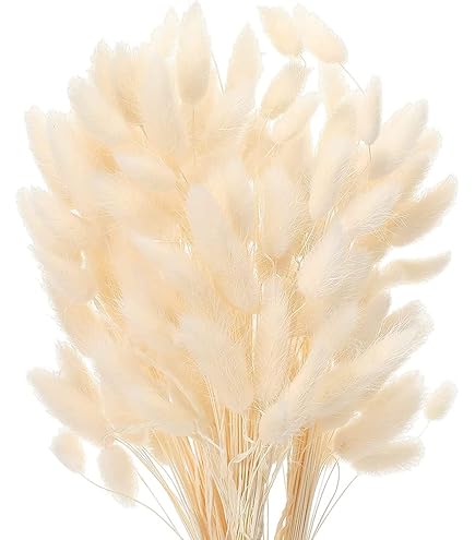 34 Stuks Gemengde Natuurlijke Gedroogde Bloemen Biologische Geperste Bloemen Echte Gedroogde Bloemen Voor Doe Het Zelf Kunst Knutselkaarten Maken Bloemendecoratie Verzamelingen