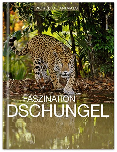 Preisvergleich Produktbild Faszination Dschungel