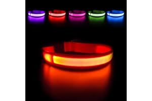 MASBRILL Hundehalsband Leuchtend USB Aufladbar Wasserdichtes LED Leuchthalsband für Kleine Mittlere Große Hunde Einstellbar S