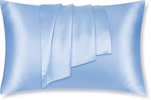 LULUSILK Kissenbezug, 100 % reine Seide, 16 Momme, mit verdecktem Reißverschluss, schont Haut und Haare, 1 Stück 40 x 80 cm hellblau