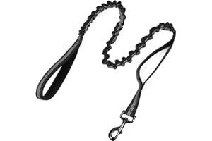 rabbitgoo Laisse Chien, Laisse pour Chien Élastique Militaire, Laisse Corde Absorption des Chocs, Bungee Laisse Réfléchissante avec 2 Poignées de Contrôle pour Marche Entraînement, 95-125cm, Noir