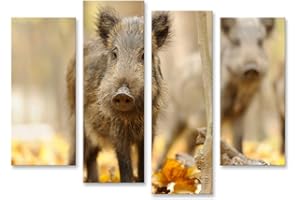 islandburner Tableau sur toile sanglier forêt d'automne Cadre Affiche Poster Murale Tableaux