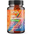SOOL CBD Gummies 750mg 30pcs | 25mg CBD Gummy | Apple & Lemon Hemp Gummies | Cannabidiol CBD Oil Edibles | CBD Oil Gummies | Stress & Anxiety Relief for Adults | Calm, Unwind, Improve Sleep Gummies