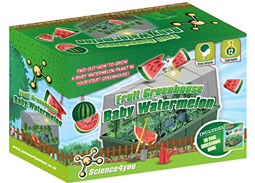 Price comparison product image Science4You 485058 Fruit Greenhouse Sugar Baby Watermelon Toy