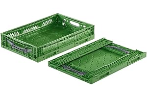 DIE BOX FABRIK Fruit and Vegetable Box Folding Box 600 x 400 x 120 mm | Harvest Box/Box for Fruit and Vegetables | Fruit Box | Apple Crate | Folding Plastic Box for Shopping (1)