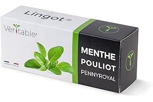 Lingot® Menthe Pouliot - Compatible Potager d'Intérieur Véritable® et Exky® - Recharge prête à l'emploi - Substrat avec Graines Intégrées