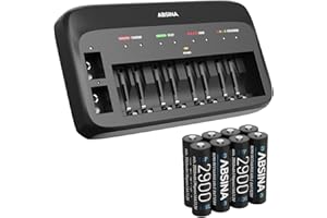ABSINA X10 Cargador Pilas AA AAA & 9V + 8X AA 2900 Pila - Pilas Recargables Cargador 10-Slots - Cargador Pilas Recargables AA AAA 9V, Cargador de Pilas AA, Cargador AAA, Cargador Pilas Recargables