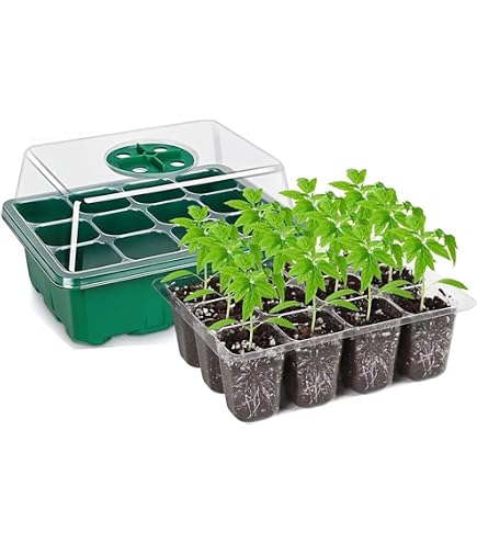 Muddy Hands 24-Cell Self-Watering Propagator Kit - Windowsill Seed Starter Tray With Clear Lid (Made From Recycled Plastic)