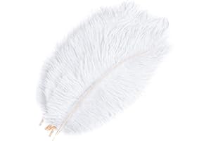 HQdeal 10pcs Naturelles Plumes d’Autruche, 20-25cm, Artisanat Plumes, Plumes Colorées pour Loisirs Créatifs, Mariage fête Décoration (blanc)