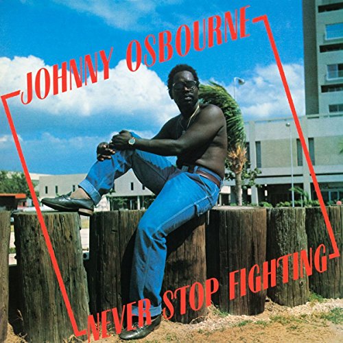 Never Stop Fighting [Vinilo]
