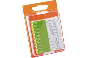 ESKA 122.0.8 12208 Feinsicherung-Sortiment (Ø x L) 5mm x 20mm Traege-T-Inhalt 100St, (Ø x L) 5 mm x 20 mm